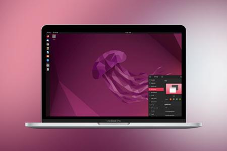 Ubuntu(乌班图)最受欢迎的开源免费Linux操作系统。